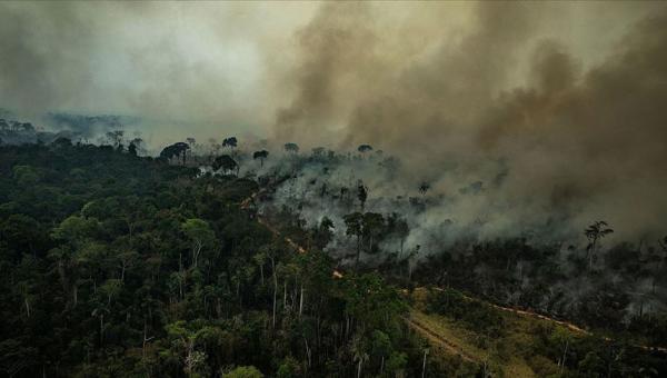 Amazonlar yanıyor